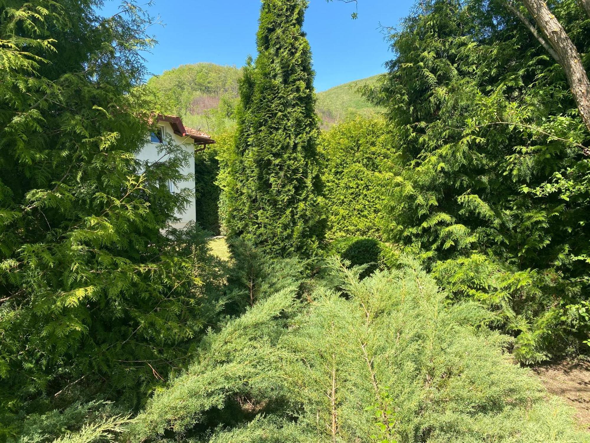Villa Nana Kulen Vakuf Zewnętrze zdjęcie